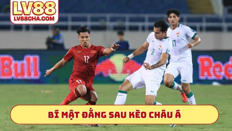 Bí mật đằng sau kèo Châu Á