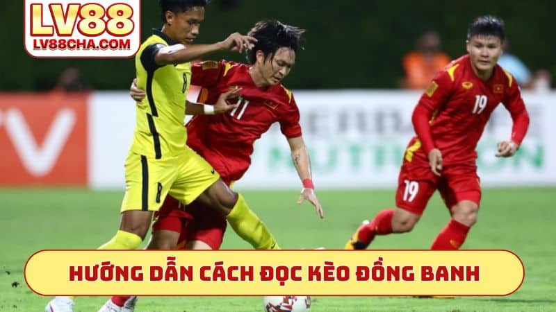 Hướng dẫn cách đọc kèo đồng banh
